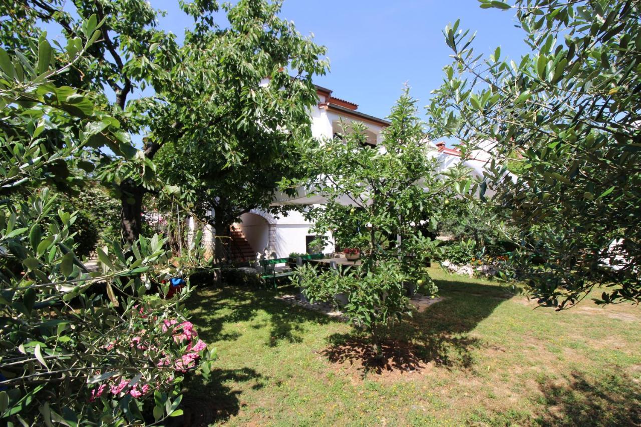 Modern Sabina With Garden Apartment